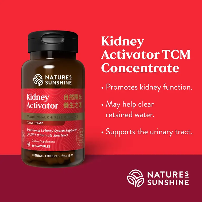 Kidney Activator TCM Concentrate - Image 4